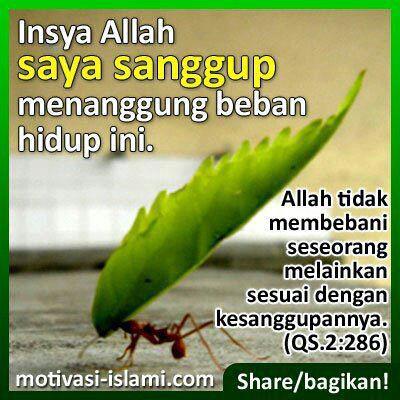 :: JANGAN MENGELUH ,  KETIKA KITA BERTANYA DAN AL QUR'AN MENJAWAB 