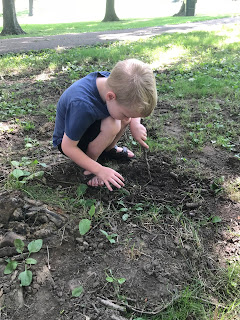 boy digging in dirt with stick at Sioux City Tinkergarten