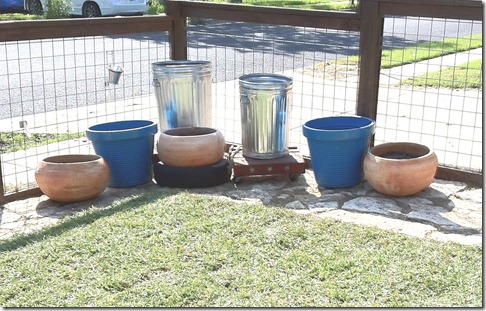 Container Garden 01