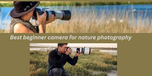 Best beginner camera for nature photography