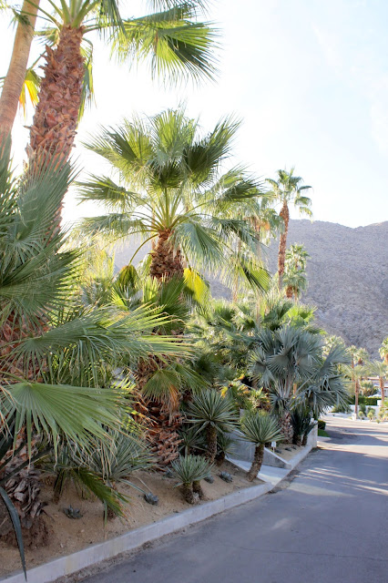 Palm Springs