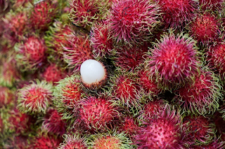 rambutan
