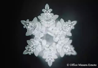 Bantahan Masaru Emoto Kristal Es Snowflake