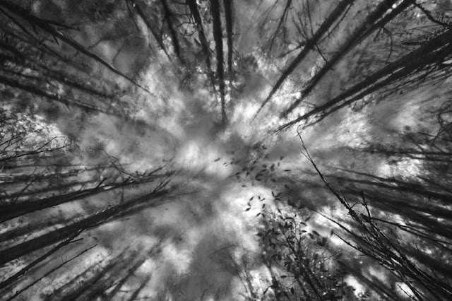 Textura De Nubes De Humo De Hielo Seco Y Niebla. En Un Fondo Vacío Oscuro  Se Crea Un Efecto De Niebla De Foco Perfecto Fotos, retratos, imágenes y  fotografía de archivo libres