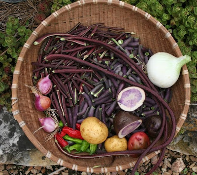 Red, White &  Blue Potatoes