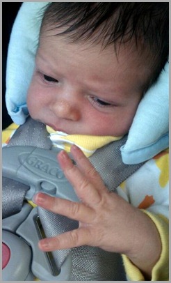 Four Days Old