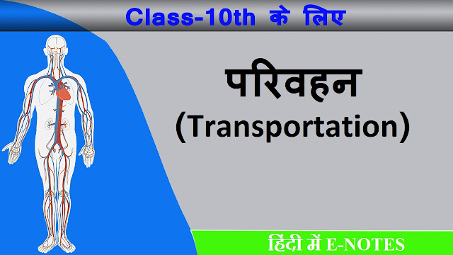 Transportation-परिवहन-class10-biology-notes-in-hindi