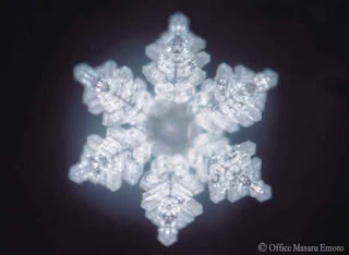 Masaru Emoto