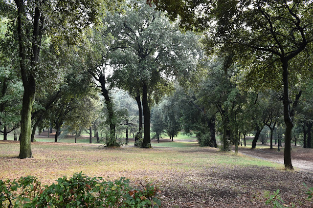 foto mostrando árvores do bosque da galeria borghese