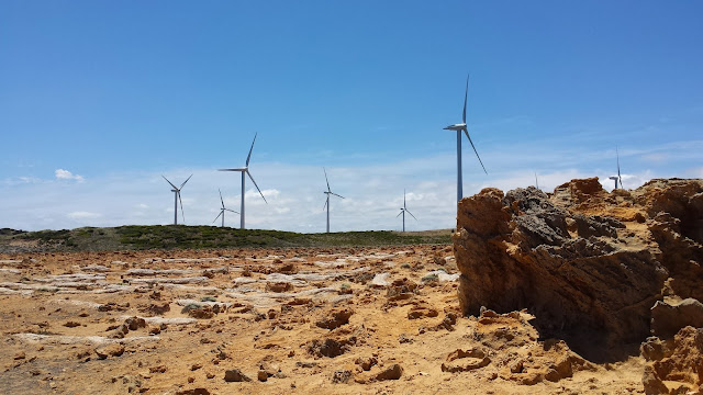 Cape Bridgewater