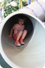 IMG_2511 (Large)
