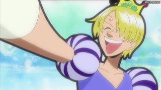 ワンピース アニメ ウォーターセブン編 252話 サンジ Vinsmoke Sanji | ONE PIECE Episode 252 Water 7