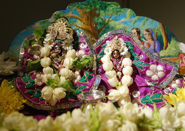 The All-Merciful Sri Sri Radha Damodar