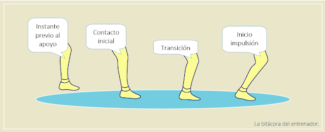 Análisis de la secuencia de movimientos durante la pisada en running.