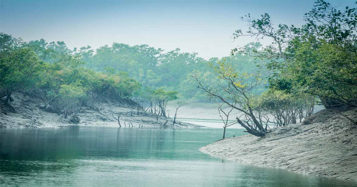 Which is the largest delta in the world?