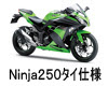 カワサキ Ninja250(Special Edition タイ仕様) カワサキ Ninja250 Special Edition タイ仕様 バッテリー