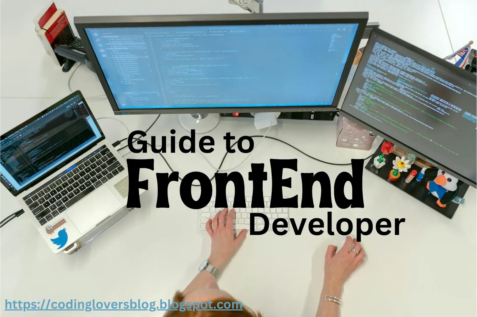 Guide to Front End Developer