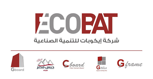 Senior GL Accountant For ECOBAT 