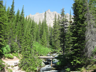 Ptarmigan Falls Bridge