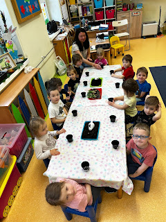 Sala przedszkolna, przy prostokątnym długim stole siedzą przedszkolaki i pani bibliotekarka. Na stole znajdują się cebulki kwiatów i ziemia. Przed każdym przedszkolakiem znajduje się pusta czarna doniczka.