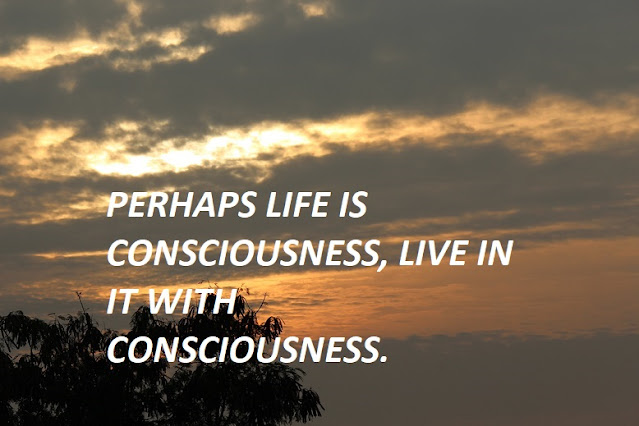 PERHAPS LIFE IS CONSCIOUSNESS, LIVE IN IT WITH CONSCIOUSNESS.