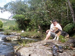 Dogs Trekking 3 (362)