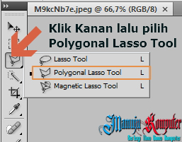 Polygonal Lasso Tool