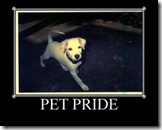 PETPRIDE