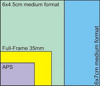 Pemilihan lensa, yang menjadi perhatian utama adalah pada Focal Length. Seperti dijelaskan sebelumnya diatas, pemilihan FL sebaiknya disesuaikan dengan kebutuhan dalam pemotretan. Lensa dengan range FL 35 – 50mm cukup fleksibel untuk pengambilan foto-foto dengan sudut wide, misalnya untuk landscape. Untuk keperluan umum, lensa dengan range FL 80 – 200mm cukup fleksibel, misal untuk still life, portrait, fashion dan produk.