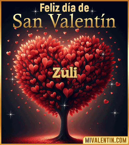 Gif feliz día de San Valentin Zuli