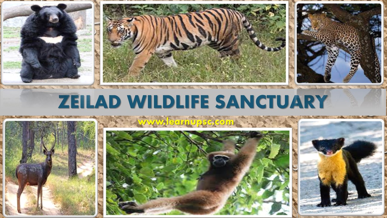 Zeilad Wildlife Sanctuary - Learn UPSC