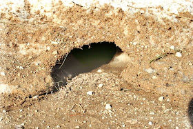Driveway Ice Cave Driveway Ice Cave