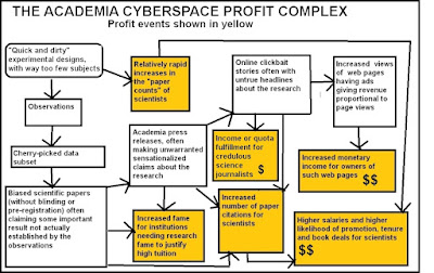 academia cyberspace profit complex
