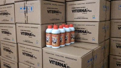 Agen VITERNAPlus - Vitamin Ternak Organik Berkualitas Tinggi