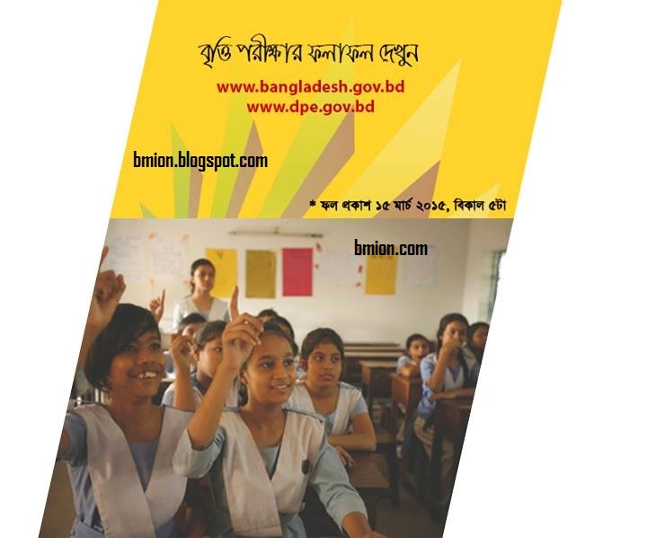  PSC-Primary-Scholarship-Result-2014-Bangladesh-DPE