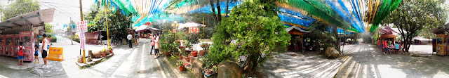 嘉義縣竹崎鄉親水公園萬竹博覽館-全新景點花仙子-天空步道啟用-千禧橋-弘景橋