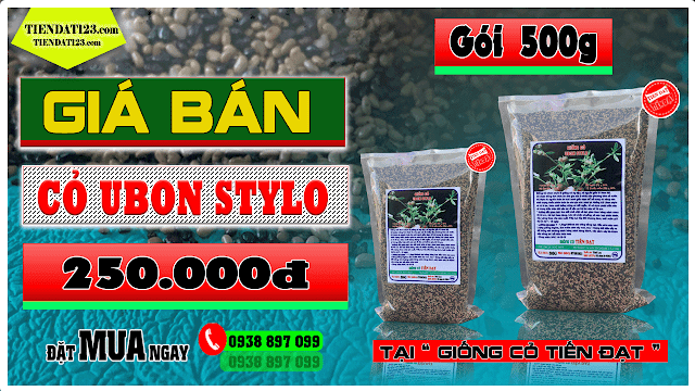 Giá cỏ ubon stylo gói trọng lượng 500g