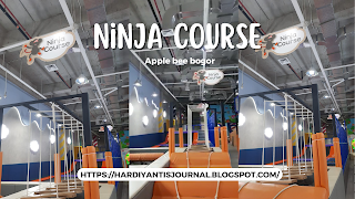 Ninja Course Apple Bee Boxies