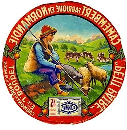 Vintage French Camembert Label Reversed