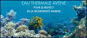 Skin Protect d' Avène: Protège ta peau et respecte l'océan!