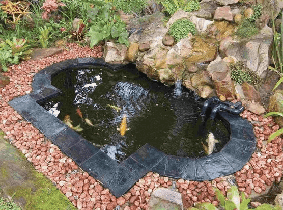 kolam ikan koi