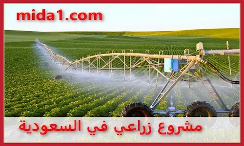 أفضل مشروع زراعي في السعودية