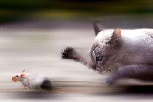 Motion Blur Photos That Inspire