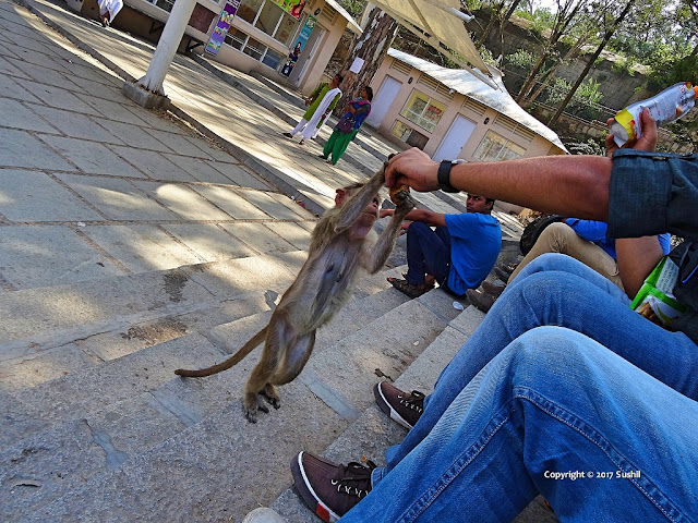 Nandi Hills Store, Bangalore