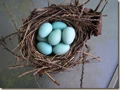 nest of hollow eggs