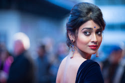 Bollywood celbs at Midnights Children Premiere at 56th BFI London Film Festival