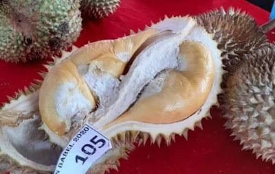 Durian Super Tembaga asal Bangka