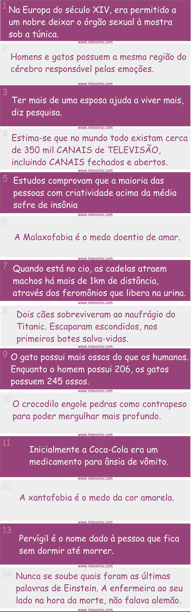 Curiosidades