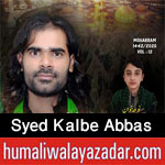 https://www.humaliwalayazadar.com/2014/10/kalbay-abbas-rizvi-nohay-2012-to-2015.html