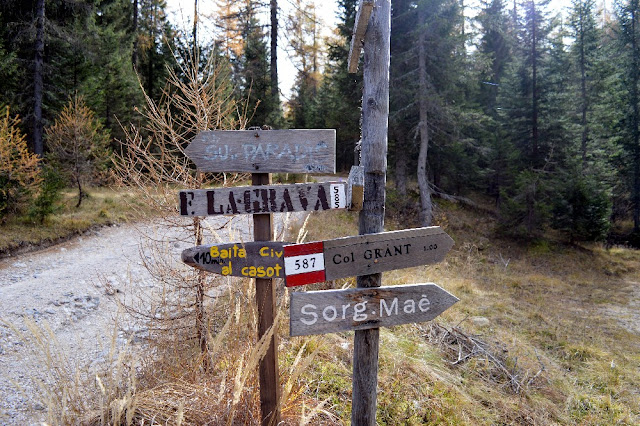 trekking pecol val di zoldo